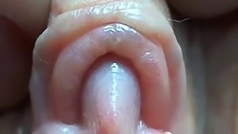Intense Close-Up Of A Large Clitoris And Labia Lips