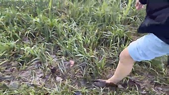 Exploring A Swampy Marsh On Foot - Soiled Soles